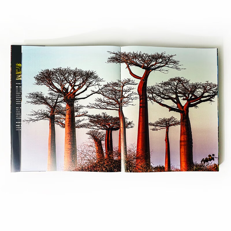 Tree Between Heaven and Earth contains nearly 300 beautiful photos, interspersed with four extra-long slides, covering the desktop with majestic momentum, rushing towards the magnificent wonders of life.