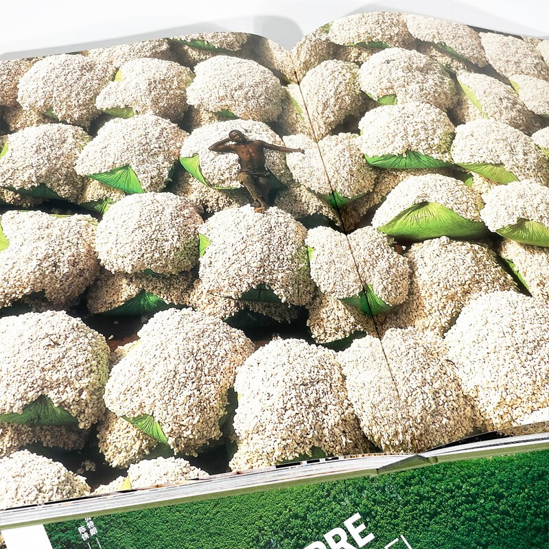 A bird's eye view of the earth tells the story of the earth