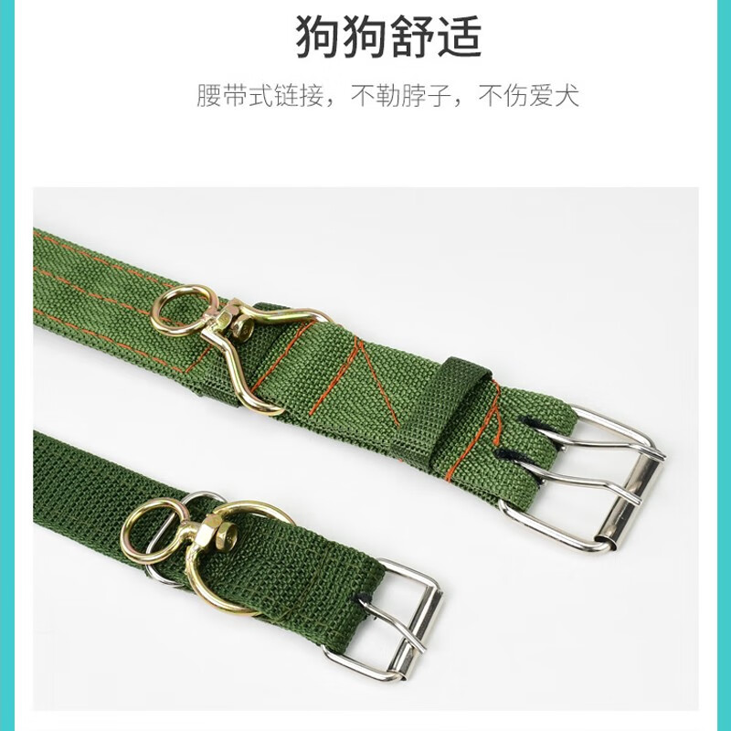 Gasgo dog collar, medium and large dog collar, pet collar, golden retriever Satsuma canvas dog collar, single row of holes