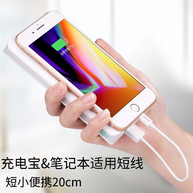 Pinsheng Apple Data Cable Short Cable 0.2 Meter Fast Charging Suitable for iPhone14/13/12/11ProMax/Xs/XR Mobile Phone Charging Cable iPad Air/mini Power Bank Cable