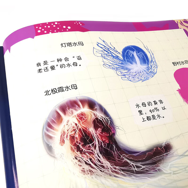 10-Minute Focus Sea World Sticker Book Lively Ocean Habitats