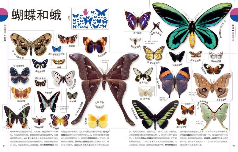 DK Children's Illustrated Encyclopedia of Natural Life Hardcover Genuine Popular Science Encyclopedia for Primary School Students 6-12 Years Old Animals, Plants and Microorganisms Introduction to Natural Observation