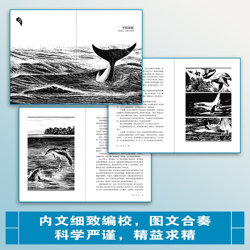 The Song of Dolphins Shen Shixi’s Life Epic Trilogy The King of Animal Novels Shen Shixi’s Collection of Books Series Children’s Literature Extracurricular Reading Books for Primary School Students