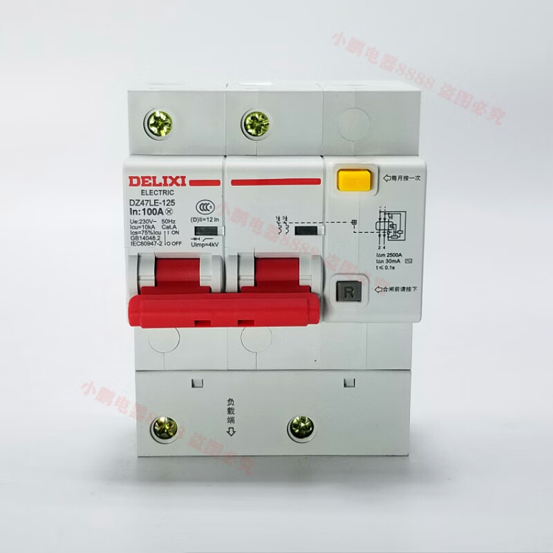 Leakage circuit breaker DZ47sLE 2P 32A 63A 100A two-phase leakage protection air switch 125A 2P 100A