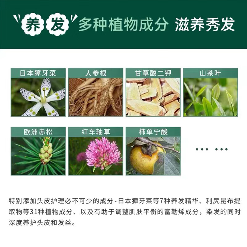 Rishiri kelp carbonated bubble dye shampoo black 180g silicone-free plant complementary color solid color cover white natural black imported from Japan