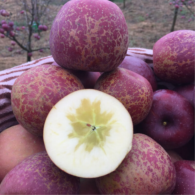 Rose Garden 2025 New Fruits Now Picked, Yunnan Zhaotong Wild Ugly Apple Rock Candy Heart Rare Fruit Fresh Crisp Sweet Large Fruit 75mm (inclusive)-80mm (exclusive) 10 catties