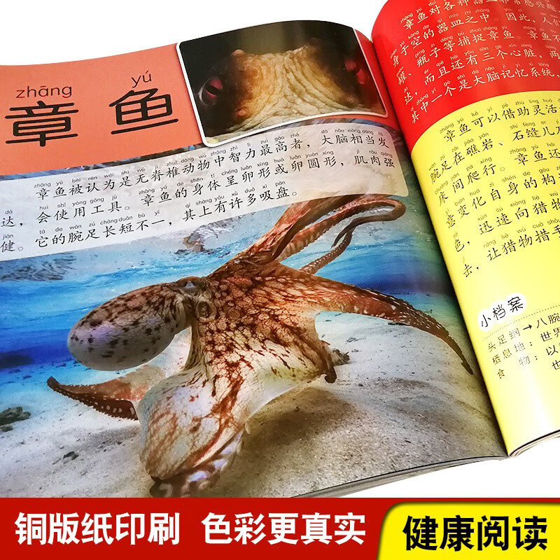 Encyclopedia of Marine Animals, Popular Science Books with Color Pictures and Phonetic Version, Small Eyes See the World, Children's Encyclopedia of Scientific Enlightenment and Cognition