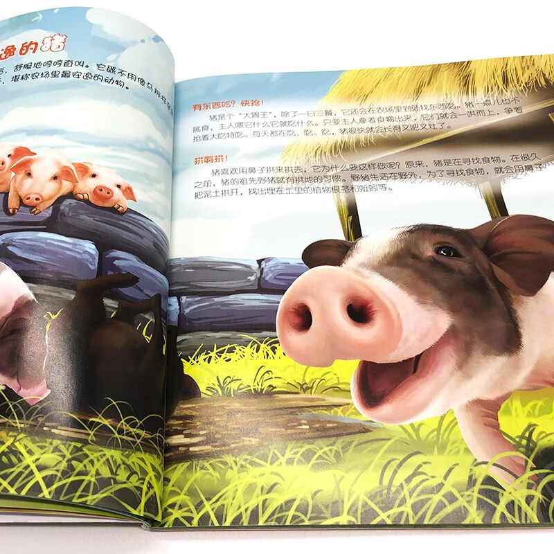 3-6 years old Children's Eyes to Know the World Science Museum Farm Animals