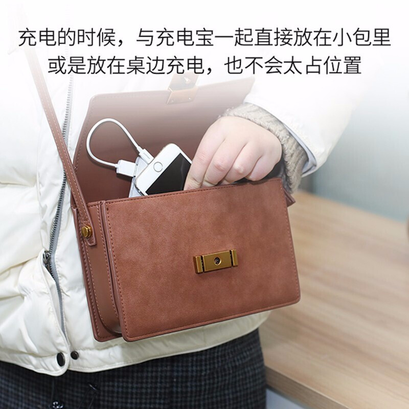 Pinsheng Apple Data Cable Short Cable 0.2 Meter Fast Charging Suitable for iPhone14/13/12/11ProMax/Xs/XR Mobile Phone Charging Cable iPad Air/mini Power Bank Cable