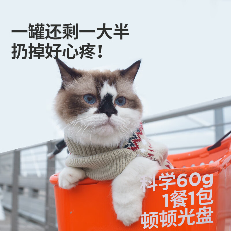 Fish staple food meal kit cat canned staple food canned cat wet food 60g*8 pack mixed flavors