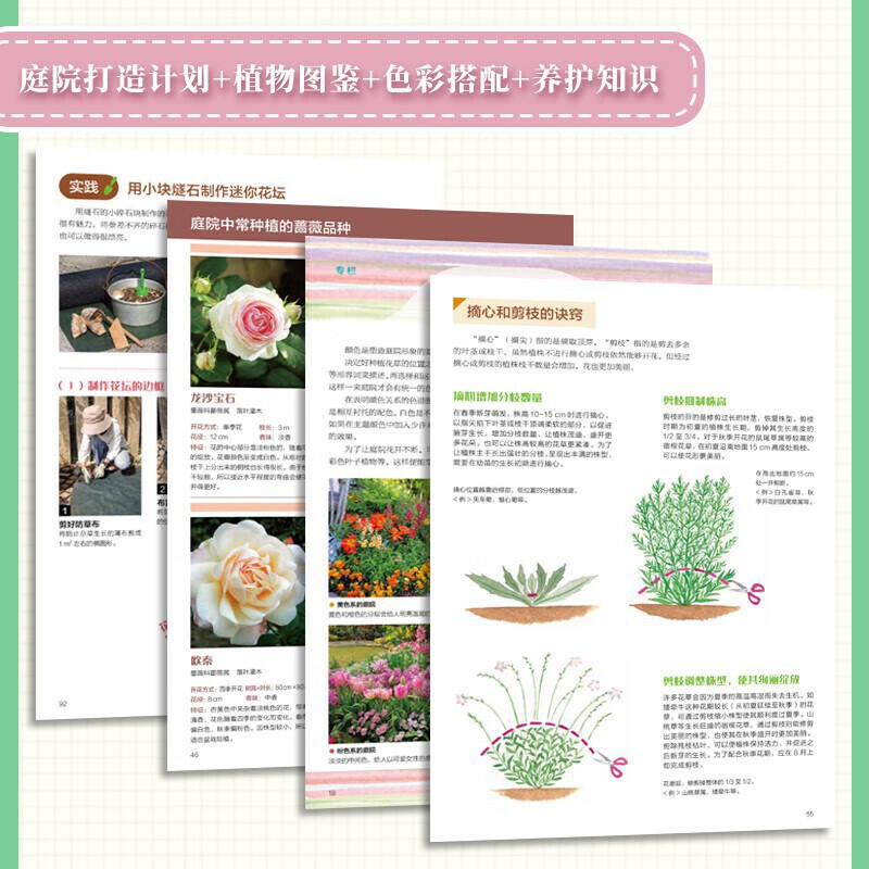 Super practical small courtyard landscape design + small but beautiful courtyard natural style courtyard (set of 2 volumes)