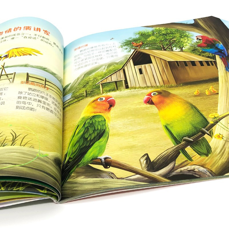 3-6 years old Children's Eyes to Know the World Science Museum Farm Animals