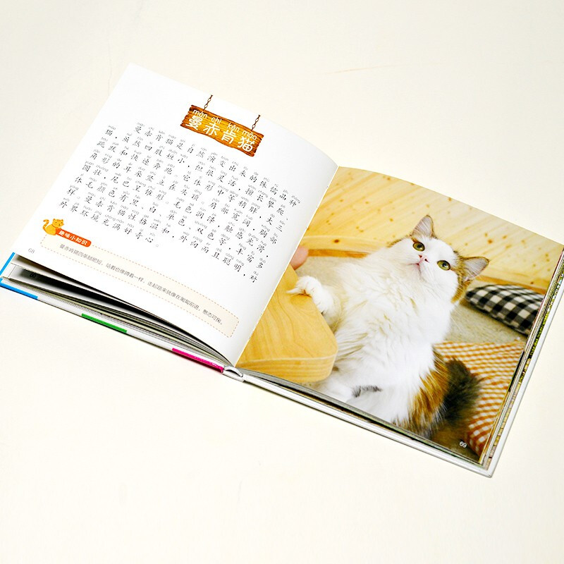 Cat Encyclopedia (1-Minute Children's Encyclopedia) Soft Pack Hardcover Audiobook Phonetic Version Popular Science Readings 3-6-8 Years Old Kindergarten Grade 1, 2, and 3