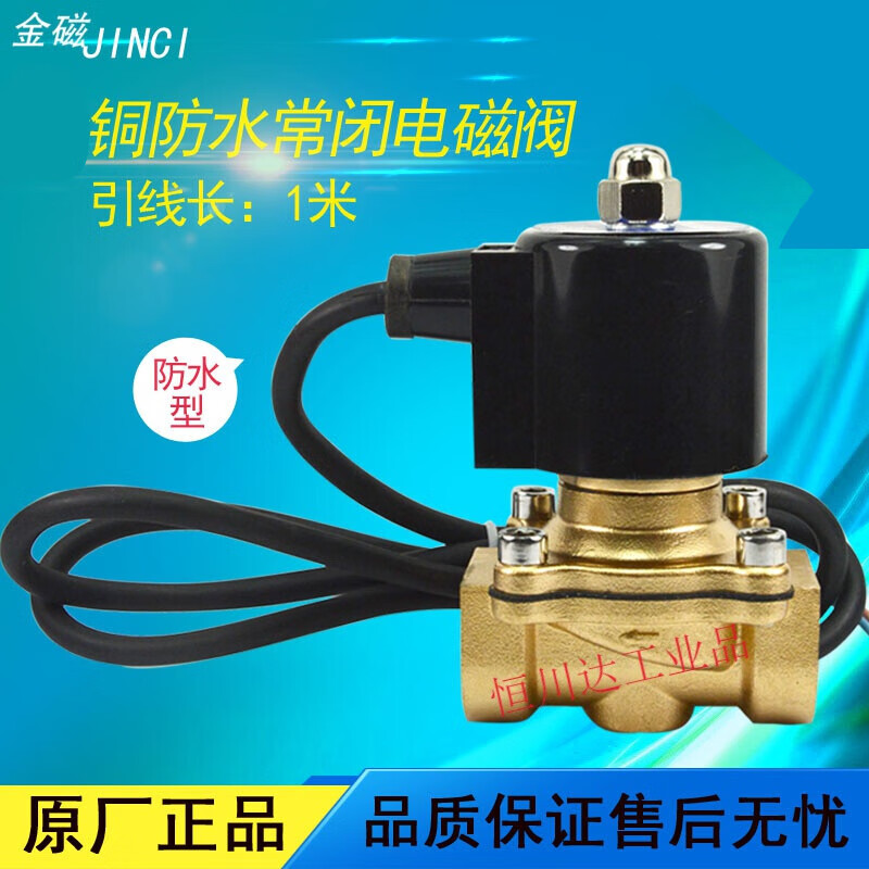 Jump spring normally closed solenoid valve underwater waterproof solenoid switch control valve 220V24V 4 minutes 6 minutes 1 inch copper coil DN50 2 inch AC220V