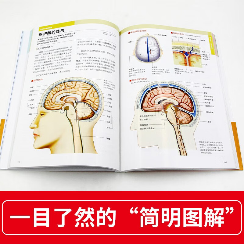 New 3D human anatomy diagram, human muscle anatomy, sports anatomy, section atlas, anatomy book textbook, professional basics of health anatomy and physiology, medical book anatomy atlas, more than 200 full-color precision atlas, human anatomy book