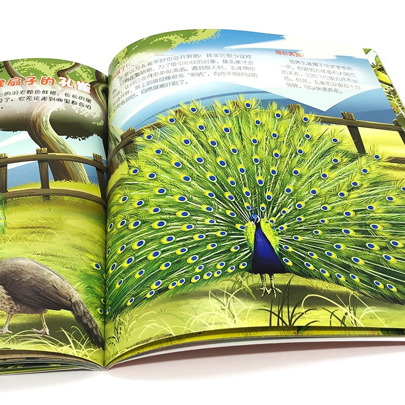 3-6 years old Children's Eyes to Know the World Science Museum Farm Animals