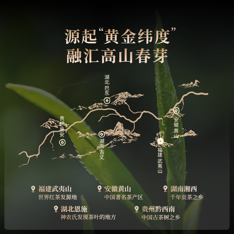 Zhengshantang Junmei Black Tea Special Grade Tea 2025 New Tea Golden Junmei Craft Originated from Zhengshan Alpine Bud Canned Gift 50g