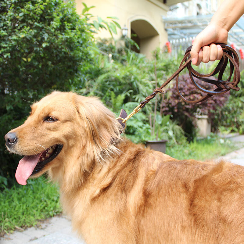 Dog cowhide leash leash, medium and small dog golden retriever German shepherd dog leash, leather rope, p chain dog leash, 1.5cm wide, pure copper hook cowhide leash, material about 2 meters (actual length is about 1.7 meters)