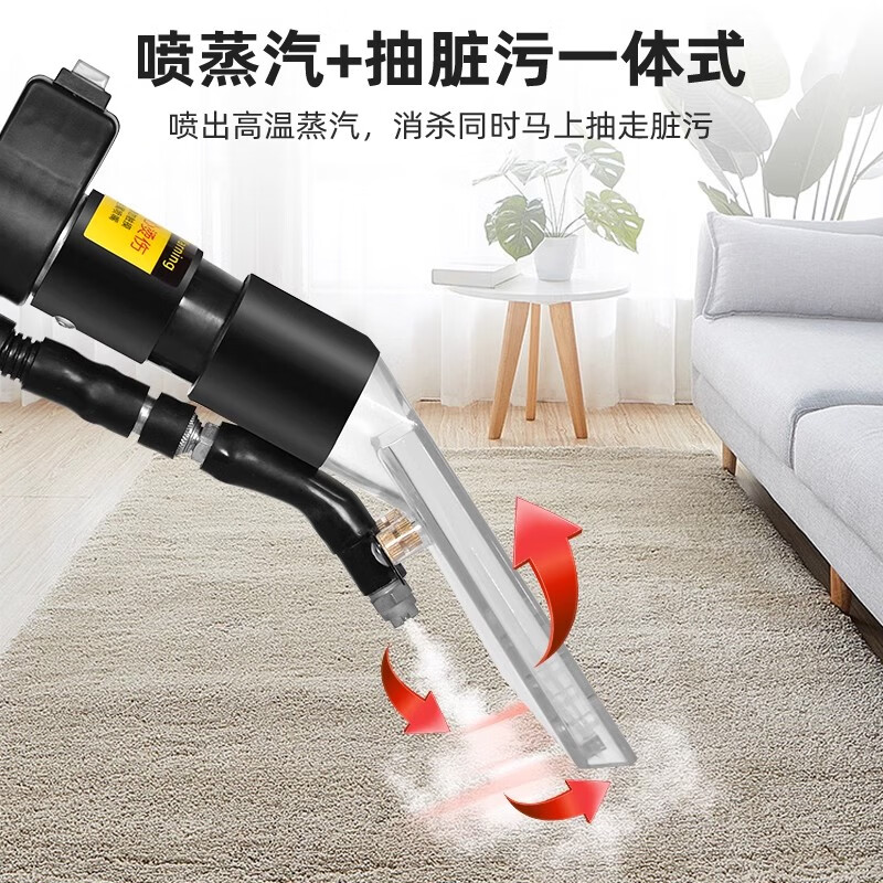 Ruizhi fabric sofa cleaning machine commercial spray and suction integrated curtain carpet cleaning housekeeping soft furnishing steam cleaning machine 9 liters 3000W power steam all-round model