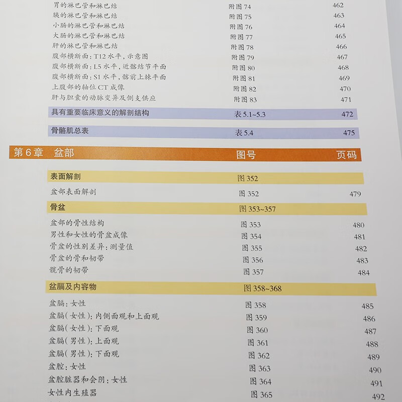 Knight's Color Atlas of Human Anatomy (8th Edition), English-Chinese, International best-selling anatomy atlas, a must-read for basic clinical medicine