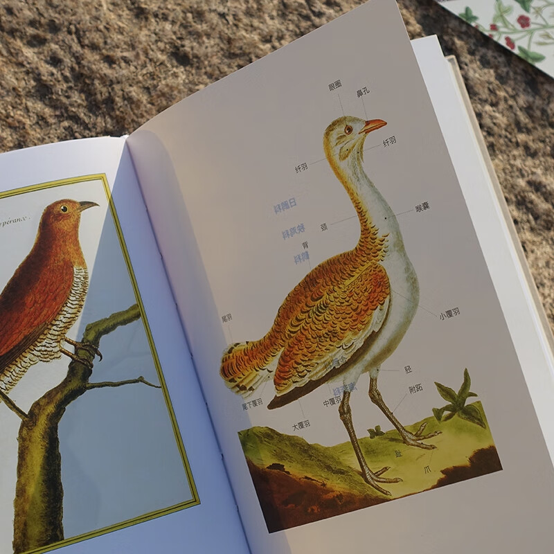 Retro Art Museum Series Xinhua Bookstore Genuine Free Shipping 07 Birds Chirping French Royal Botanical Garden Bird Illustrated