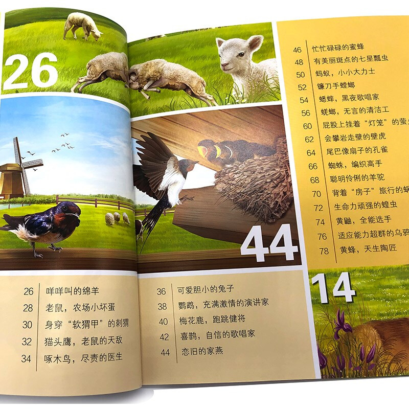 3-6 years old Children's Eyes to Know the World Science Museum Farm Animals