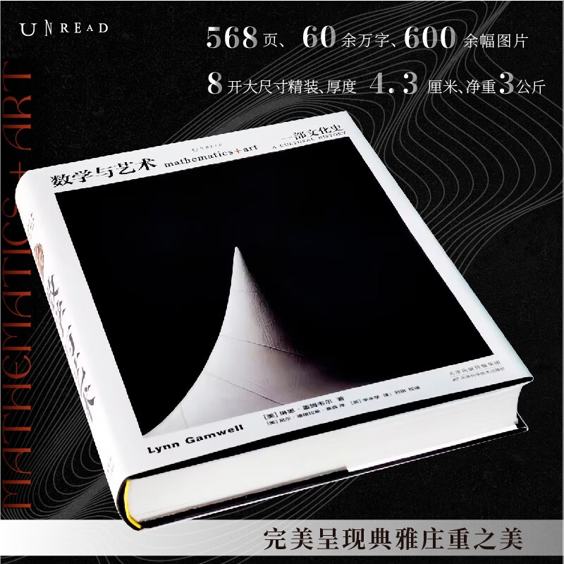 Mathematics and Art: A Cultural History (a treasure of the Princeton University Press, a unique cross-border collection)