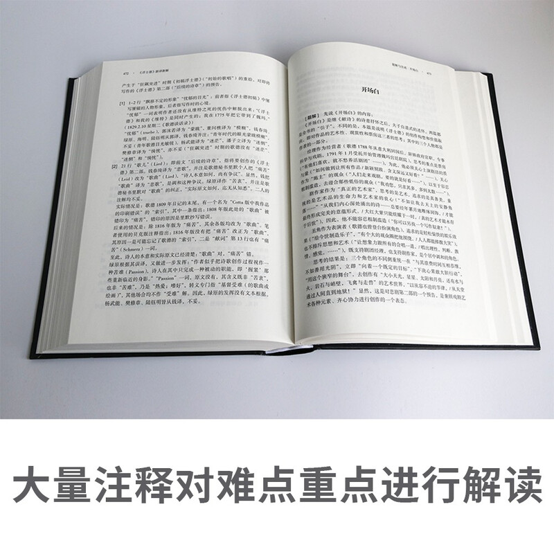 <Faust> New Translation and New Interpretation Novel