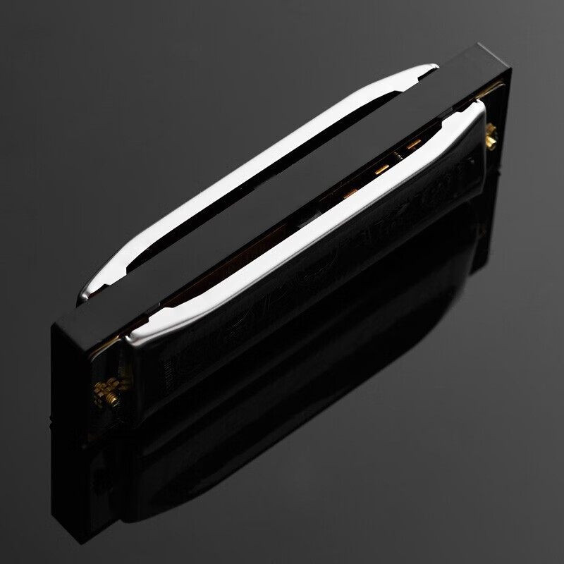 HOHNER harmonica and imported SP20 Bruce PADDY tuning 10-hole harmonica for adults and beginners.