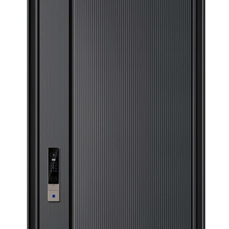 Dikasi DKX-NIO 2050*960 anti-theft door security door entry door smart door light luxury door