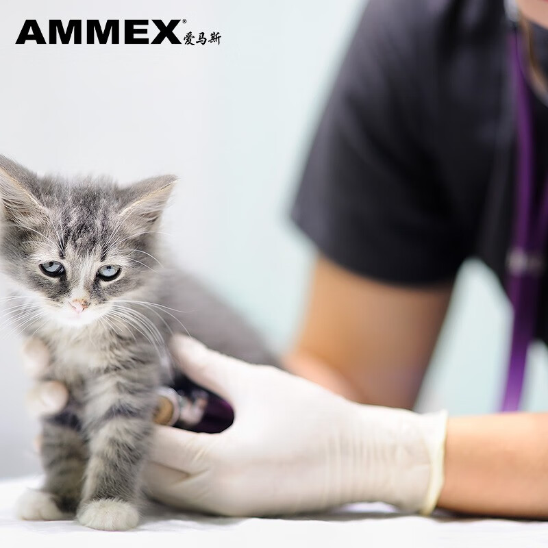 Hermes disposable latex gloves 100 pieces/box milky white TLFT large size L