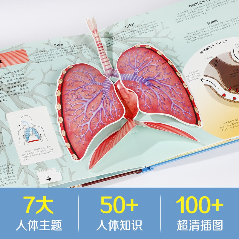 Fun and interesting popular science pop-up book (new edition) Human body 3D three-dimensional flip book 3-6 years old science encyclopedia reveals the secrets of the human body children's organ book