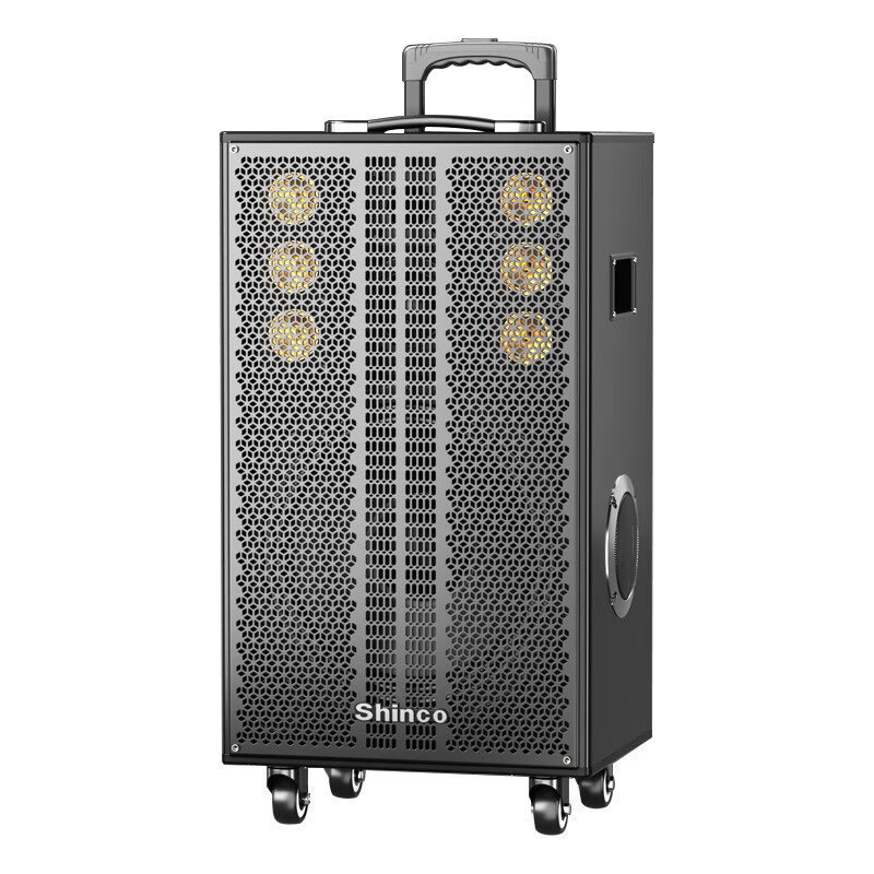 Xinke Tianlai No. 19 square dance outdoor audio 15-inch bass pull rod audio speaker type pull rod Bluetooth electric acoustic guitar bass folk singing instrument speaker wireless dual microphone