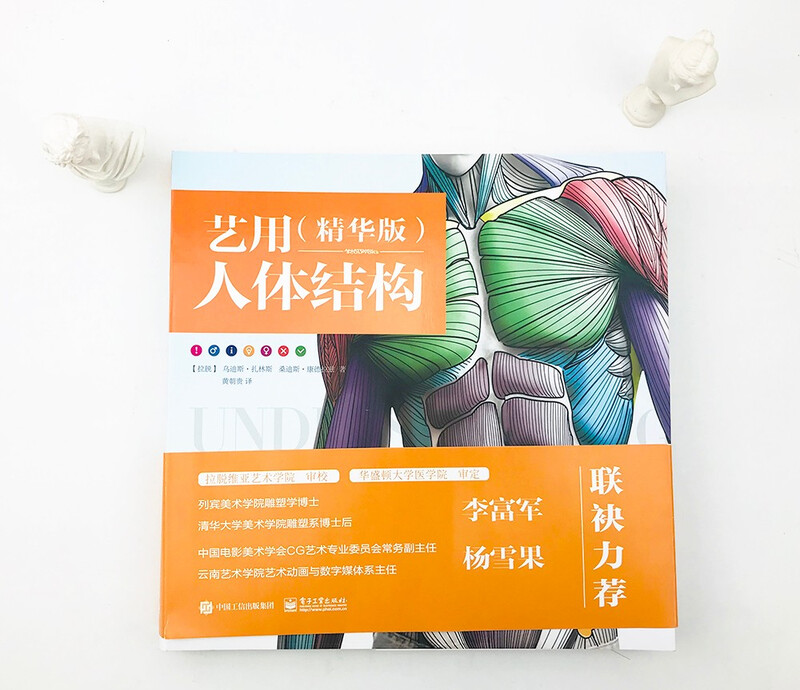 Human body structure for art (essence version)