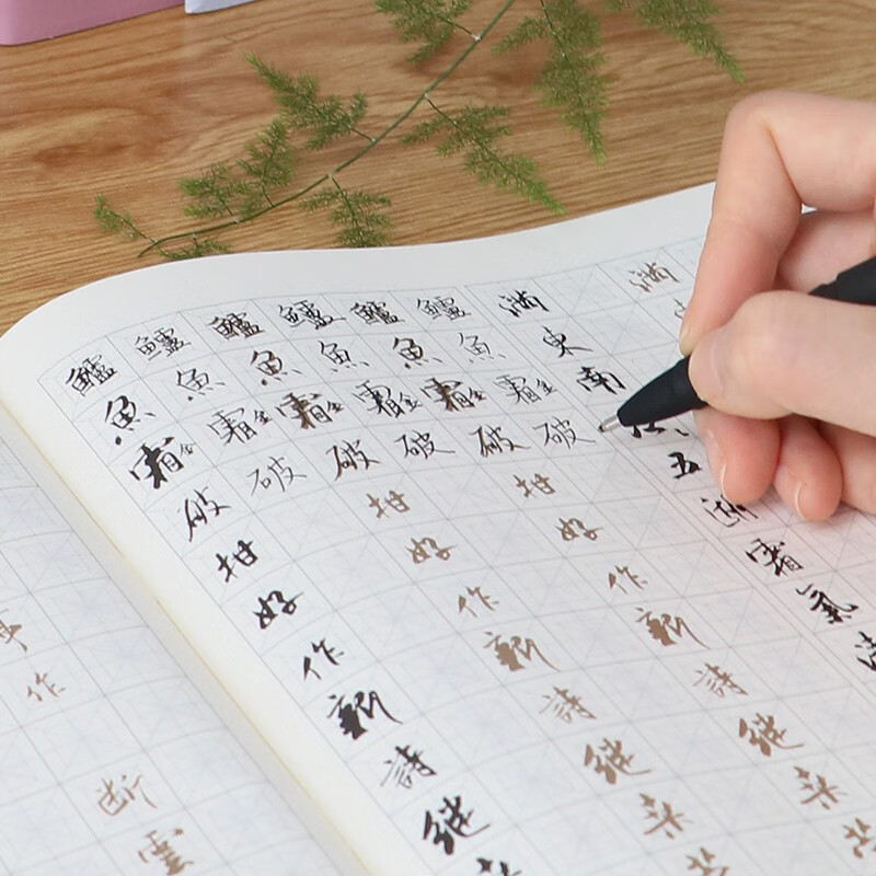 Hard-pen Calligraphy Copying Practice Series 