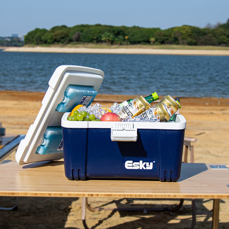 Eski insulated box car refrigerator large capacity refrigerated box outdoor camping picnic breast milk food stall portable foam box 12L high quality with ice bricks*2