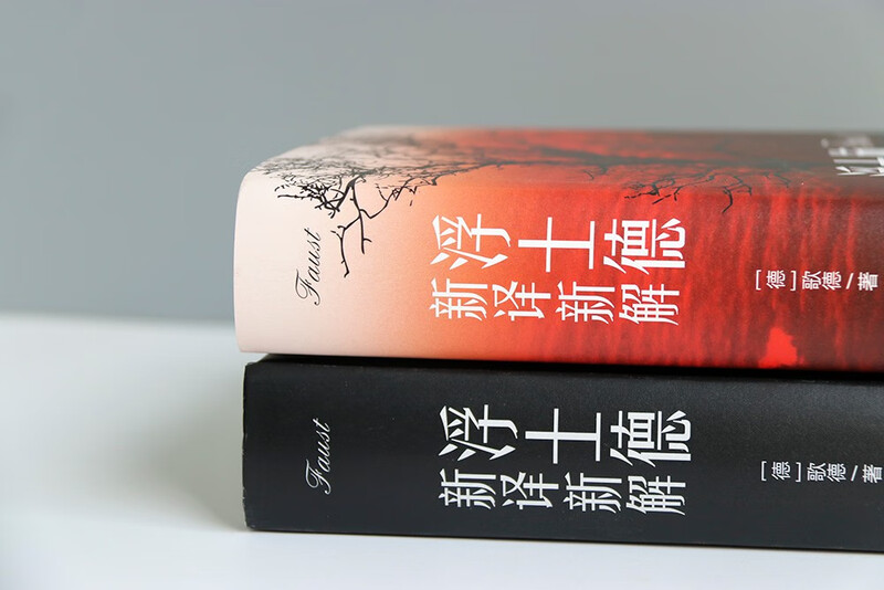 <Faust> New Translation and New Interpretation Novel