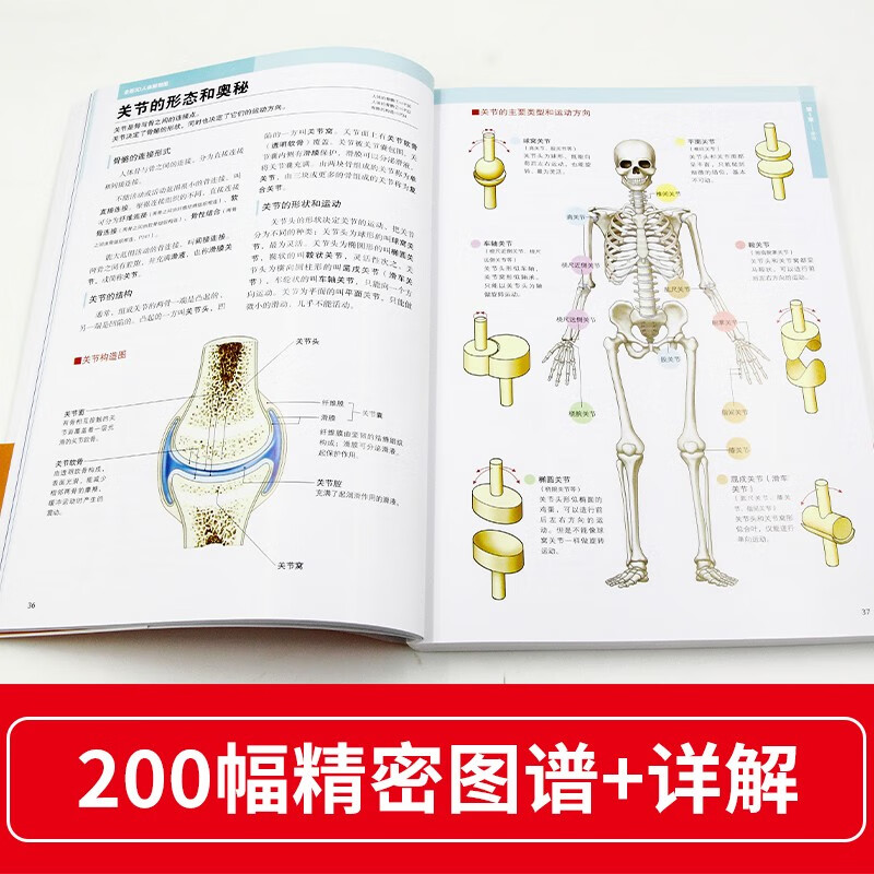 New 3D human anatomy diagram, human muscle anatomy, sports anatomy, section atlas, anatomy book textbook, professional basics of health anatomy and physiology, medical book anatomy atlas, more than 200 full-color precision atlas, human anatomy book
