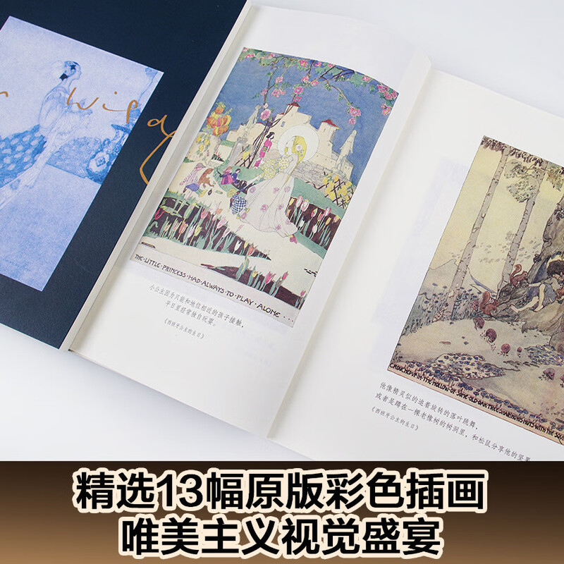 The Nightingale and the Rose (Fudan professor talks about Yingzhou translation, a translation with a high score of 9.0 on Douban, original color illustrated collector's edition, free English original) novel
