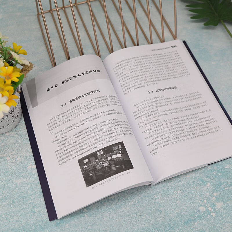 Data Center Infrastructure Operation and Maintenance Management (Basics) (New Infrastructure Data Center Series)