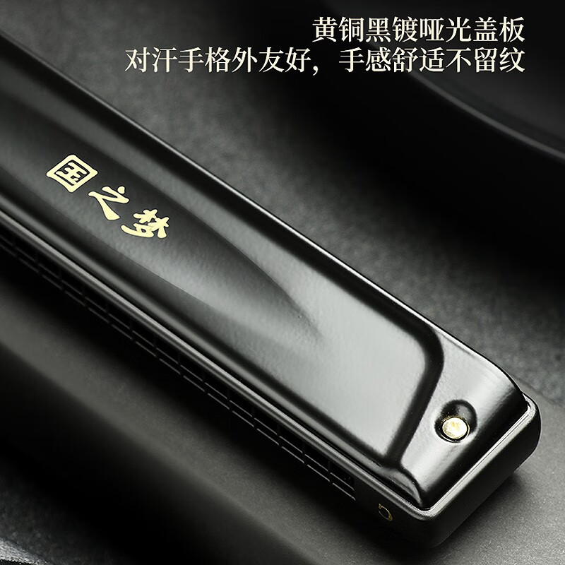 Guoguang 24-hole polyphonic harmonica #A/B/C/D/E/F/G imported gongs for beginners, adults, professional performance level with engraving, 24 holes in C key, performance level-polyphony-commonly used keys