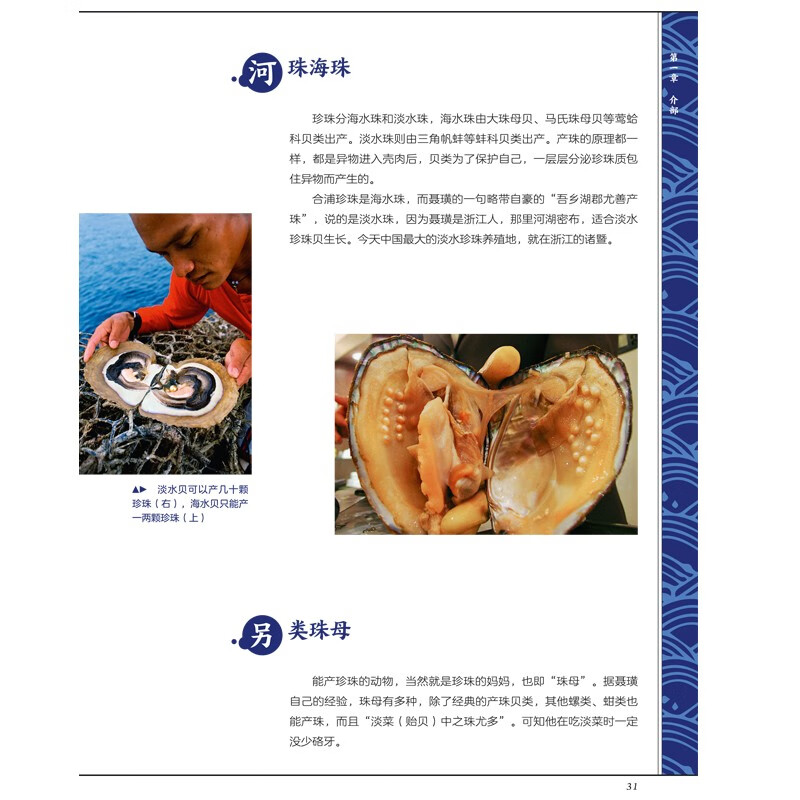 Complimentary super large species exploration map, Haicuo Map Notes Youth Edition by Zhang Chenliang, Infinitesimal Liang’s masterpiece of popular science, popular science books on biology, National Geography of China, recommended reading books for primary and secondary schools, recommended reading books on popular science books by CITIC Publishing House, extracurricular reading