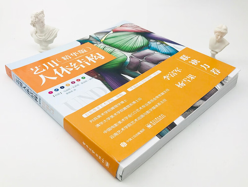 Human body structure for art (essence version)