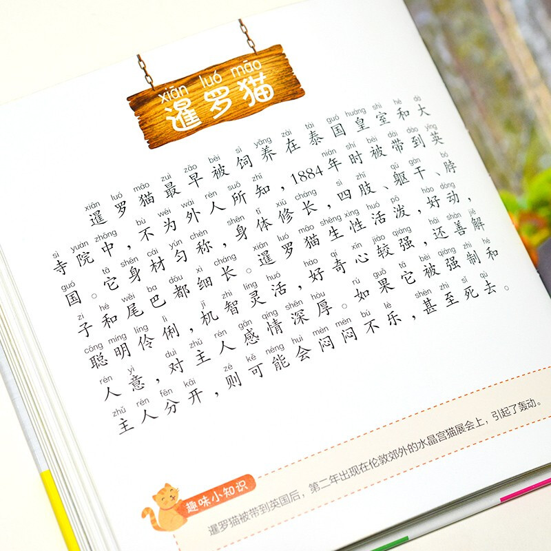 Cat Encyclopedia (1-Minute Children's Encyclopedia) Soft Pack Hardcover Audiobook Phonetic Version Popular Science Readings 3-6-8 Years Old Kindergarten Grade 1, 2, and 3