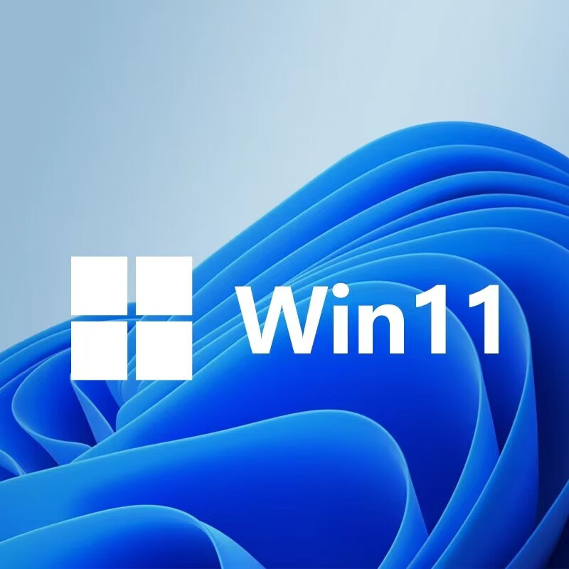 Win11 system genuine professional version windows11 reinstall system u disk professional version activation code upgrade to professional version win11 professional version u disk version + key