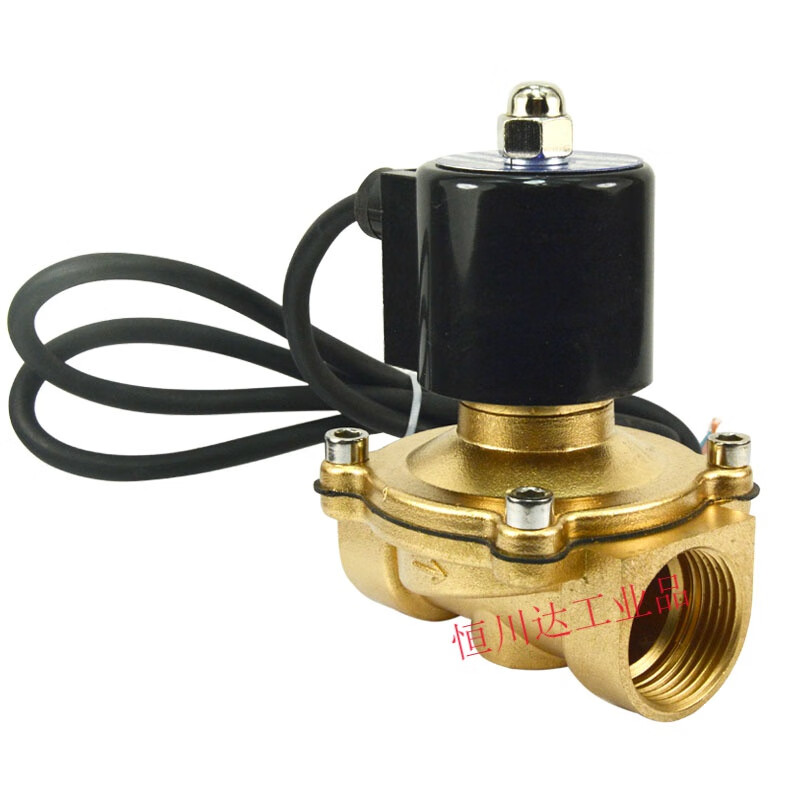 Jump spring normally closed solenoid valve underwater waterproof solenoid switch control valve 220V24V 4 minutes 6 minutes 1 inch copper coil DN50 2 inch AC220V
