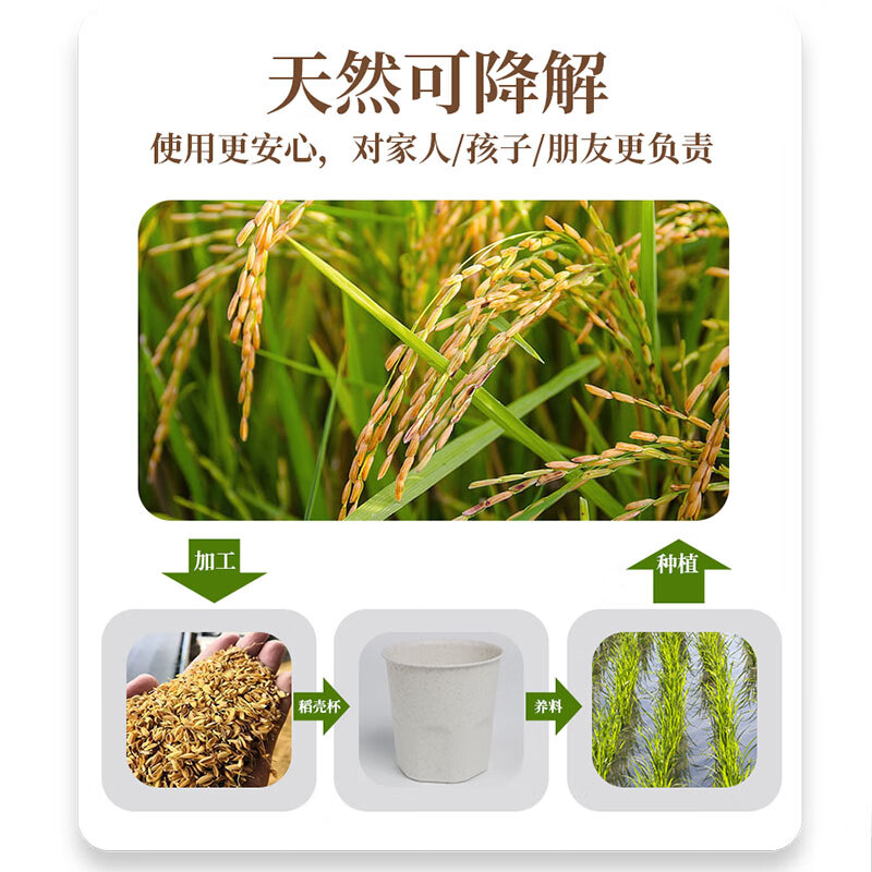 Daoying disposable cup for home office reception tea drinking cup Kung Fu tea cup food grade thickened rice husk water cup small high-end bamboo lid cup holder (can hold 60ml 90ml cup)