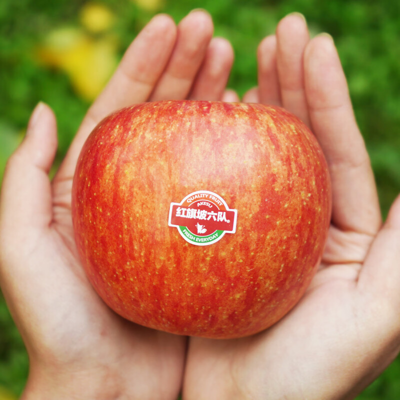 Team 6 of Hongqipo, Xinjiang Aksu Apple Rock Candy Hearts, Gift Box, Fresh Fruit, Picked Now, 8 Jin Family Pack (About 16 Fruits)