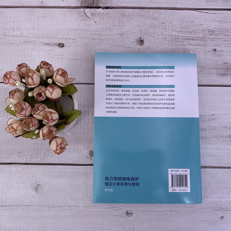 Power system relay protection setting calculation principles and examples (3rd edition)