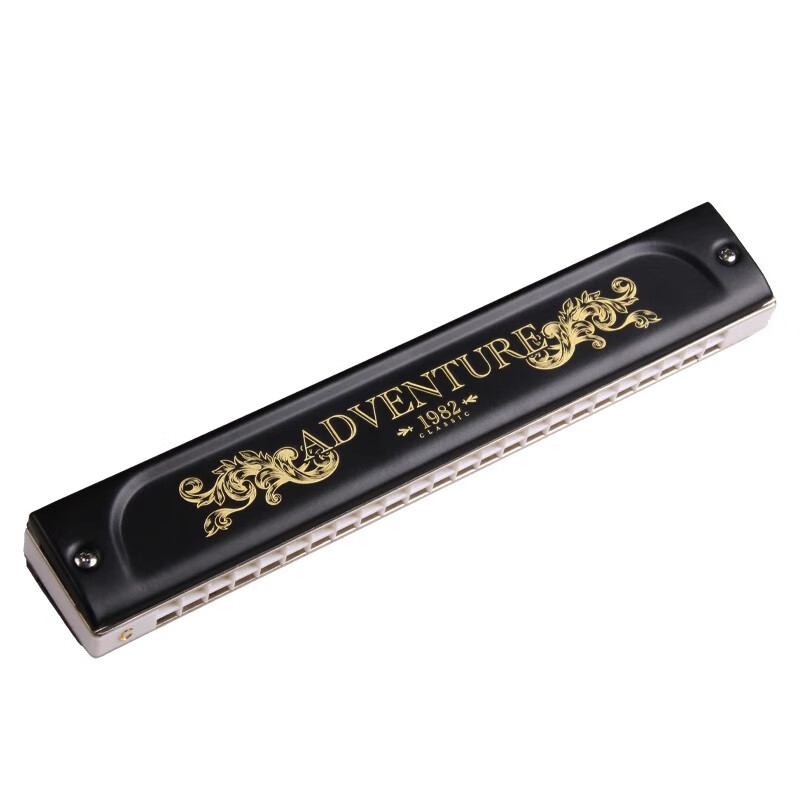 Swan 40th Anniversary Collector's Edition 24-hole Polyphonic Palace-level professional performance-grade harmonica high-end gift adult musical instrument 24-hole polyphonic C key